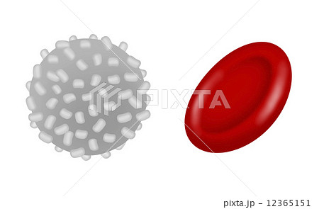 白血球 絵の写真素材
