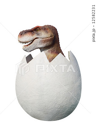キョーリュー 恐竜卵の写真素材