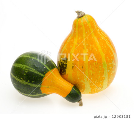 飾りカボチャの写真素材