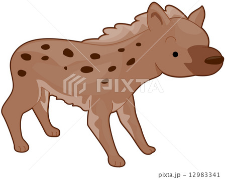 Hyenaのイラスト素材