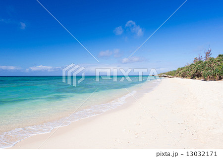 沖縄のビーチ ハンジャウリパーマの写真素材