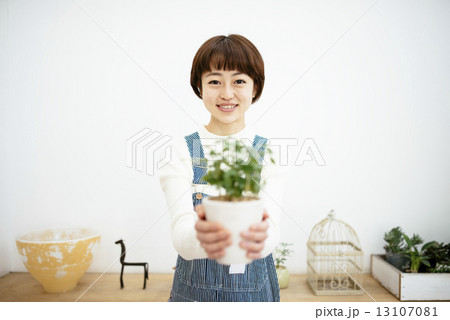 ガチョウ まぶしさ 広げる 植木鉢 持つ Cathysantonies Com