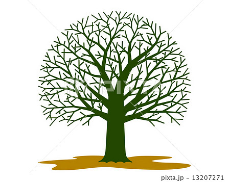 木 幹 立ち木 植物のイラスト素材
