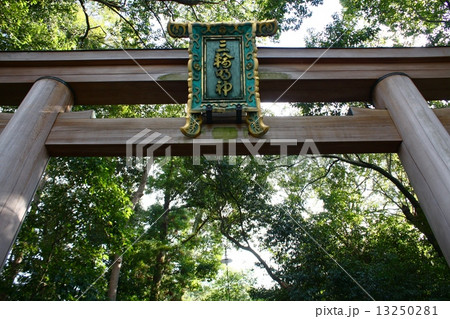 大絵馬 大神神社 羊 蛇神の写真素材