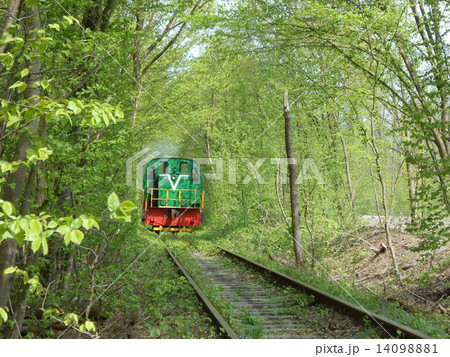 愛のトンネル 電車 緑 路線の写真素材