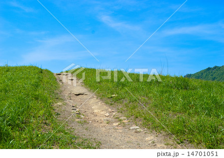 土道の写真素材