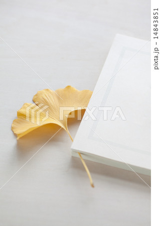 しおり 読書の秋 落ち葉 銀杏の写真素材