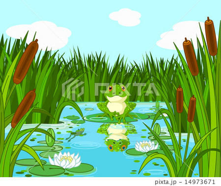 カエルの池様 かえる カエル 蛙 池のイラスト素材 - PIXTA