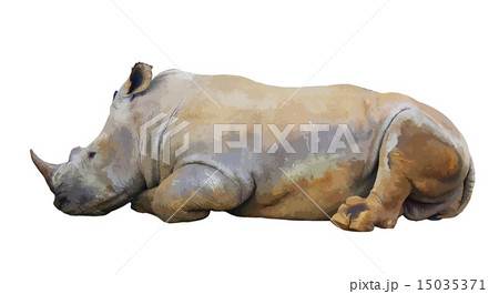 シロサイの写真素材 - PIXTA