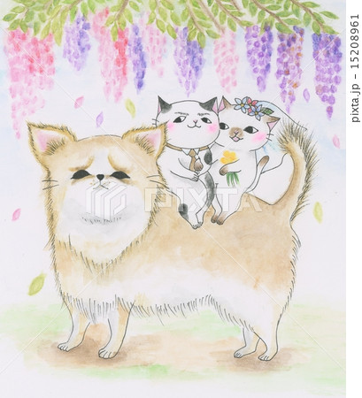 結婚式 猫 結婚式招待状 ウェルカムボードの写真素材 結婚式 猫 結婚式招待状 ウェルカムボードの写真素材