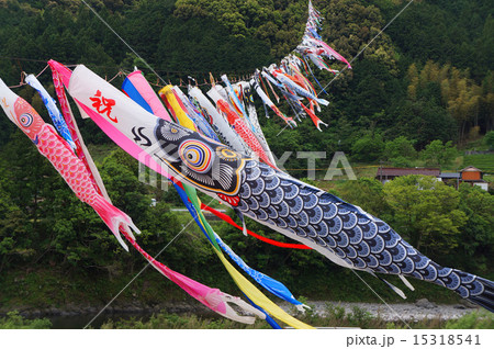 四万十川 鯉のぼり 川渡し 発祥の地 十和村の写真素材