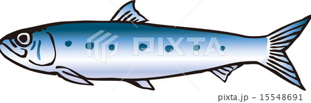 マイワシのイラスト素材