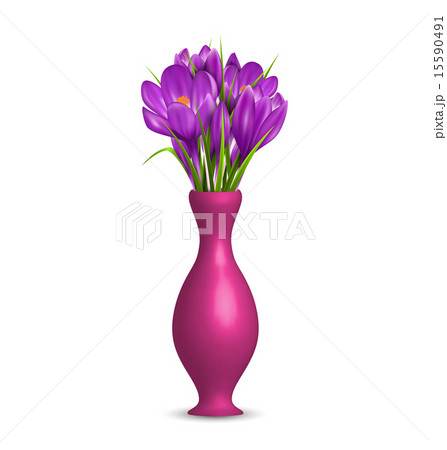 クロッカス 植物画 花 花瓶のイラスト素材