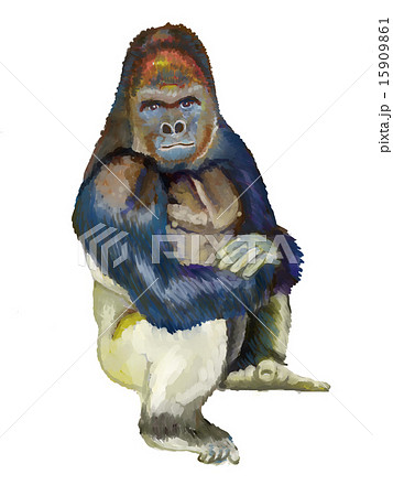 Mountain Gorilla Illustration Stock Illustration