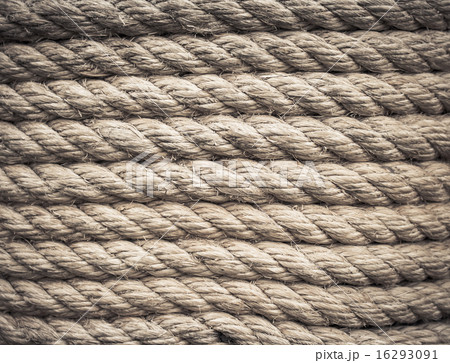 Thick ropes of flax tied in noose for hanging. On a white