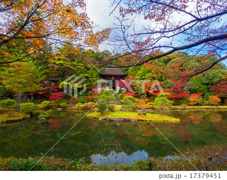 浄土式船遊式庭園の写真素材