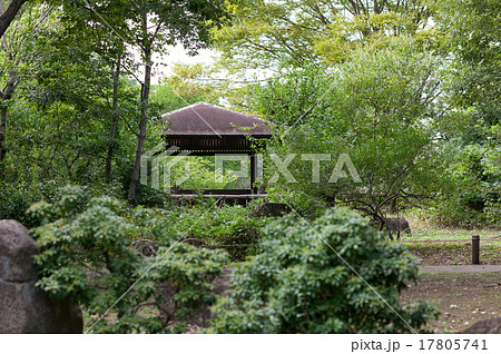 東屋 日本庭園の写真素材