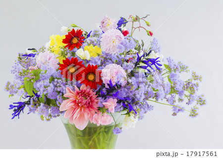 ガザニア 花 花瓶 複数の写真素材