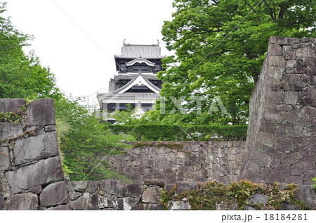 城壁 熊本城 植え込み 石垣の写真素材