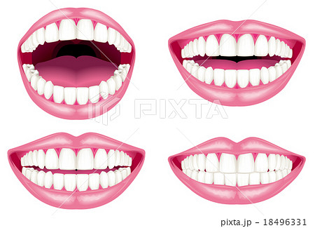 歯 歯並び 奥歯 清潔のイラスト素材 Pixta