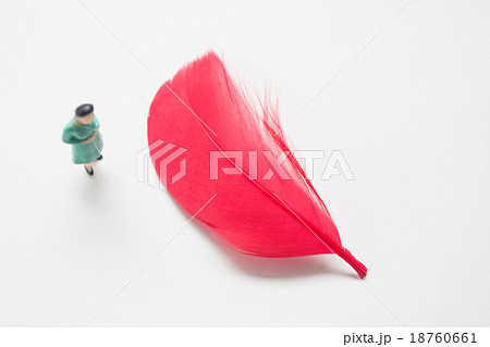 赤い羽根 羽根 緑の羽 赤い羽根募金の写真素材