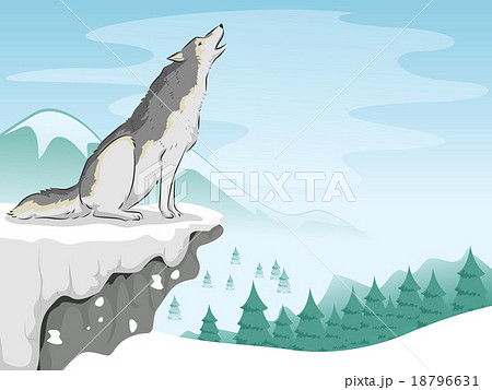 遠吠え 雪 ベクター オオカミのイラスト素材 Pixta
