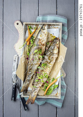 ボラの稚魚の写真素材