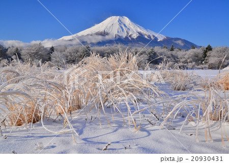 富士山 花の都公園 冬 雪景色の写真素材
