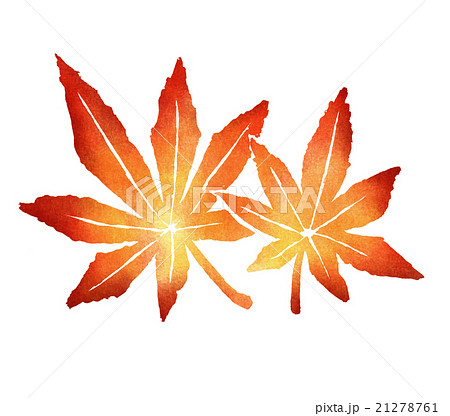 秋イメージのイラスト素材