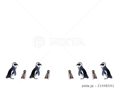 親子 ペンギン 全身 イラストのイラスト素材