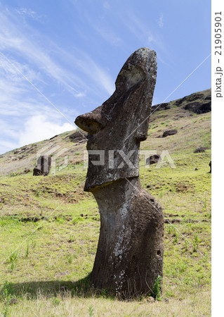 モアイ像 ラノララク 世界遺産 石像の写真素材