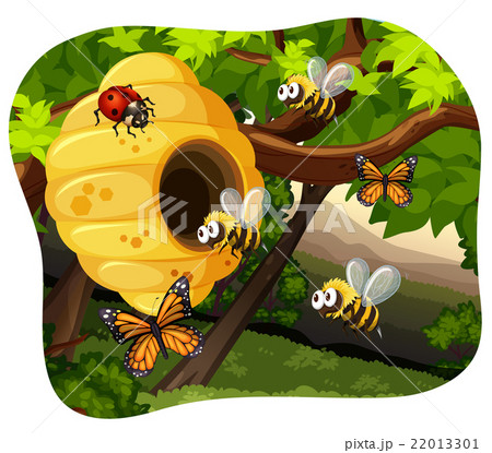 はなばち ハチの巣 蜂の巣 蜜蜂のイラスト素材