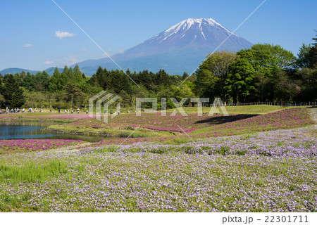 本栖ハイランドの写真素材