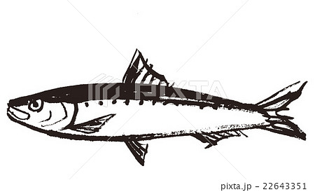鰯 水墨画 魚 墨絵のイラスト素材 - PIXTA