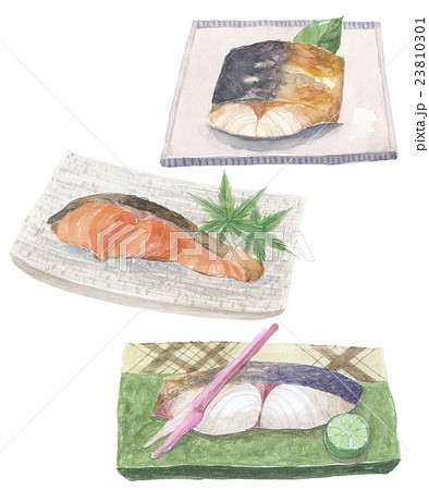 焼魚 焼き鮭 鮭 水彩画のイラスト素材