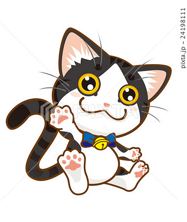 白黒ハチワレ猫 可愛いのイラスト素材