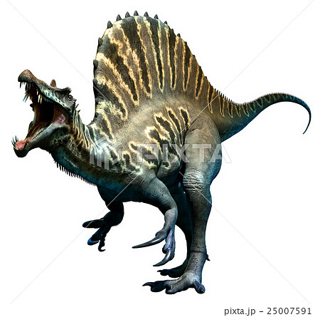 スピノサウルスのイラスト素材 Pixta