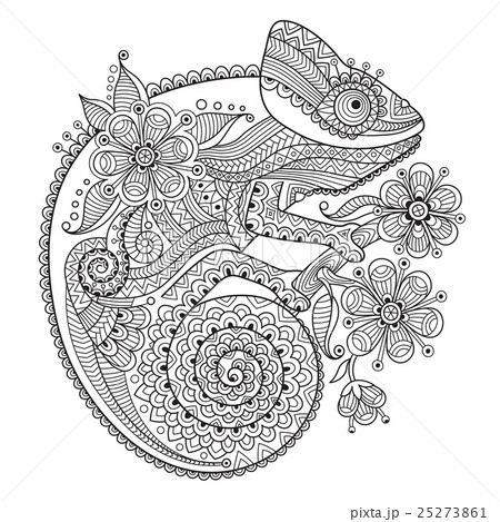 Chameleon Illustrations