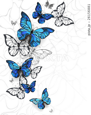 青い蝶のイラスト素材 Pixta
