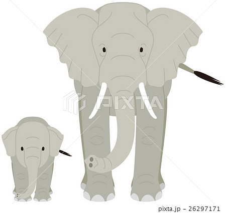 象の親子のイラスト素材