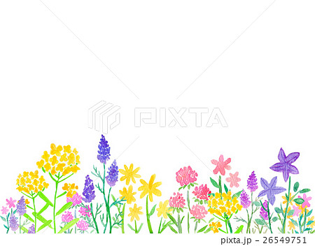 水彩 草花 挿絵 植物のイラスト素材