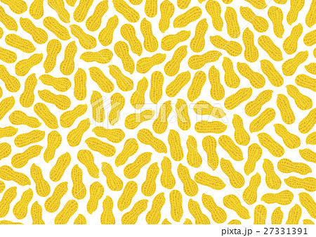 落花生のイラスト素材集 ピクスタ