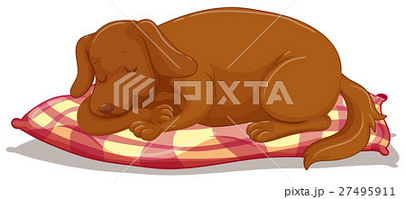 犬 寝てる 動物のイラスト素材