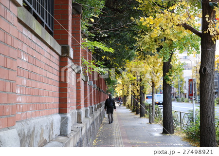 東大 東京大学 歩道 レンガ塀の写真素材