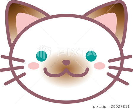 しゃむねこ シャム猫の写真素材