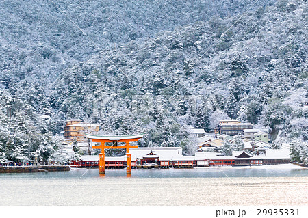 冬 厳島神社 神社 積雪の写真素材 - PIXTA