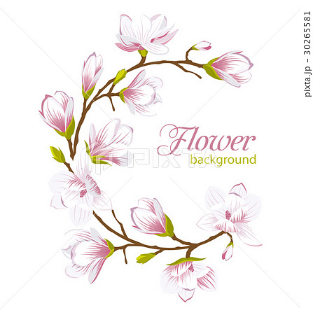 モクレン 明るい 背景 季節 白木蓮の花のイラスト素材