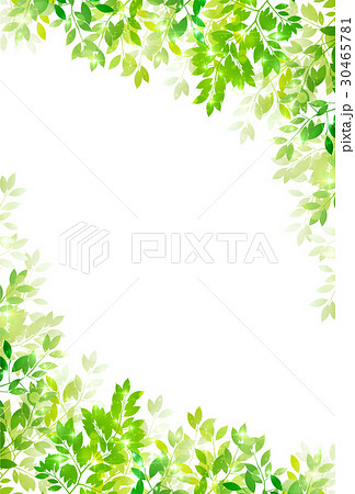 葉 新緑 植物 初夏のイラスト素材 Pixta
