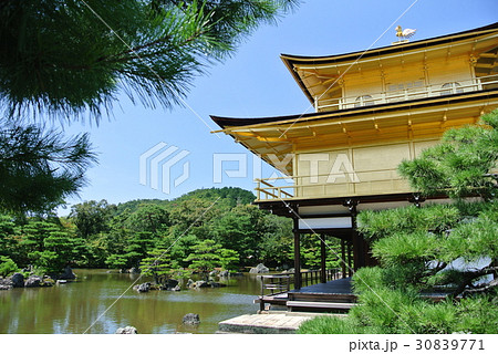 金閣寺 修学旅行 人物 女性の写真素材