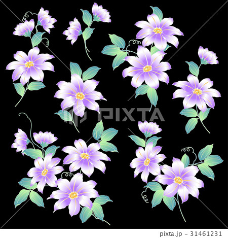 鉄線花のイラスト素材